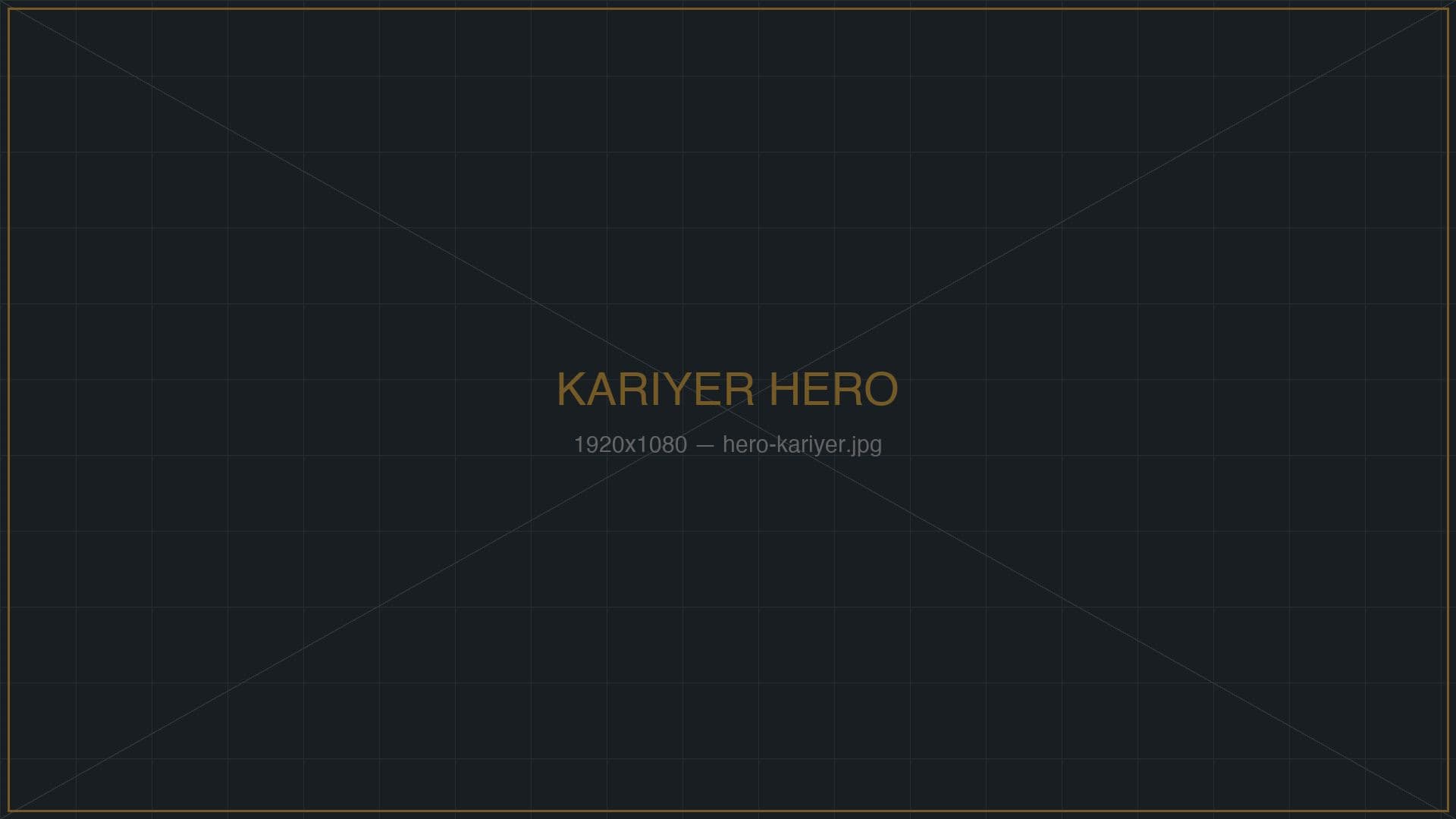 Kariyer
